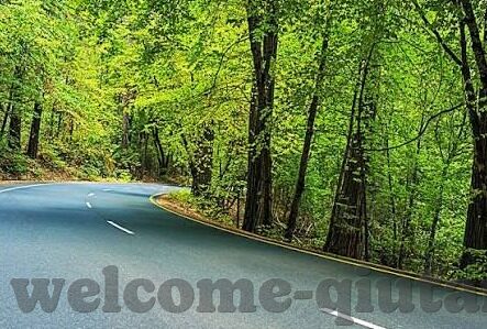 开云平台网址-开云平台网址的便捷性与安全性解析